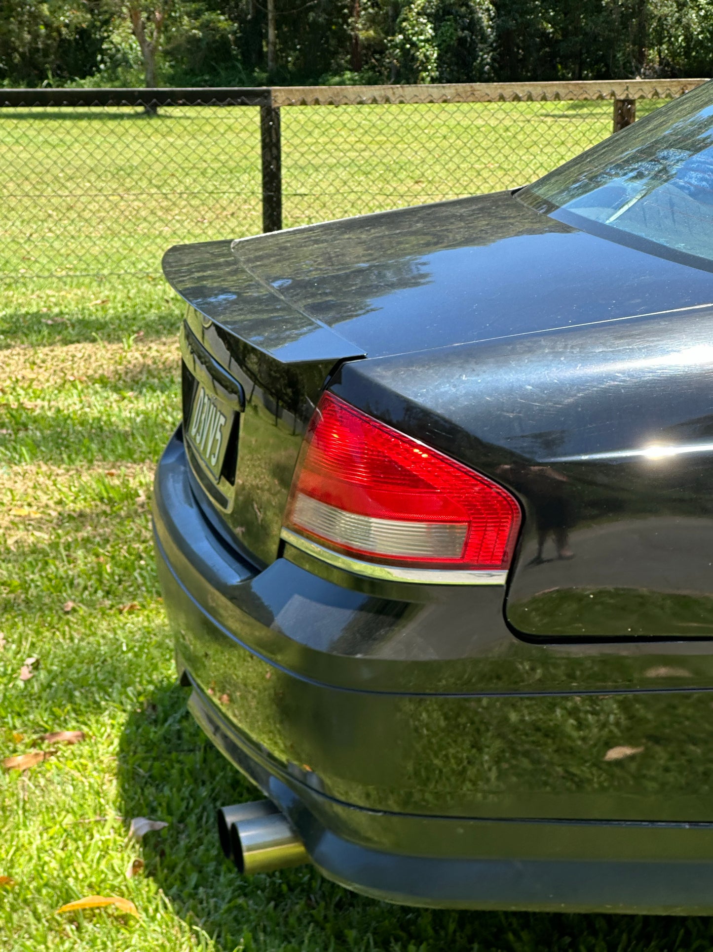 BA - BF SHORT LIP